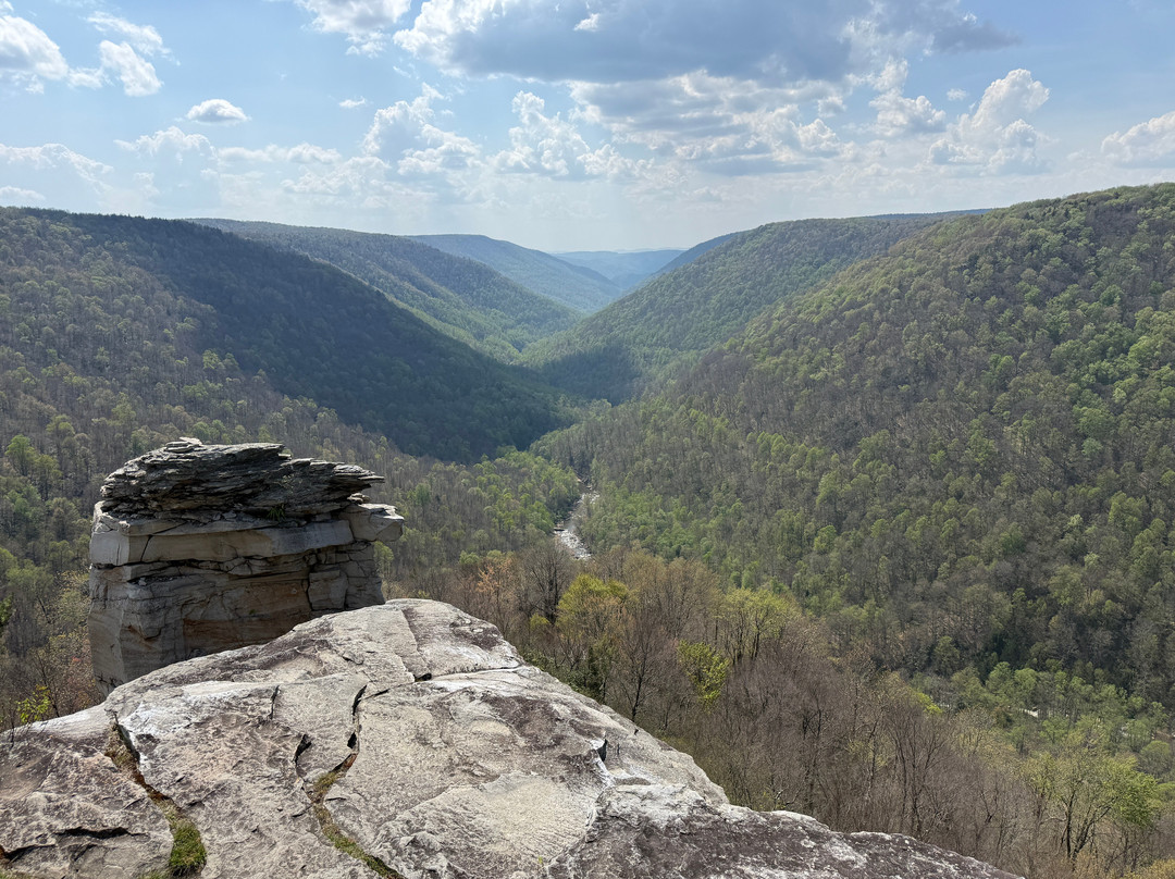 Blackwater Falls State Park-戴维斯必去景点