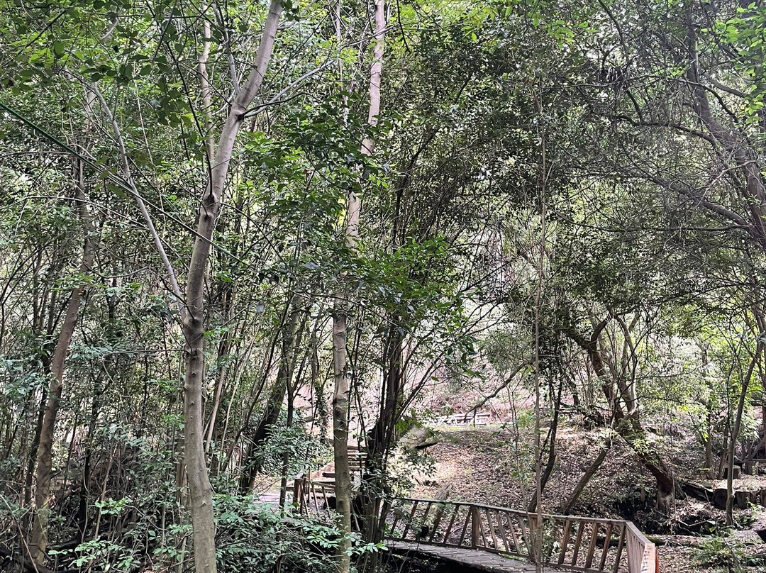 Ex-Hacienda de Chautla-San Martin Texmelucan de Labastida必去景点