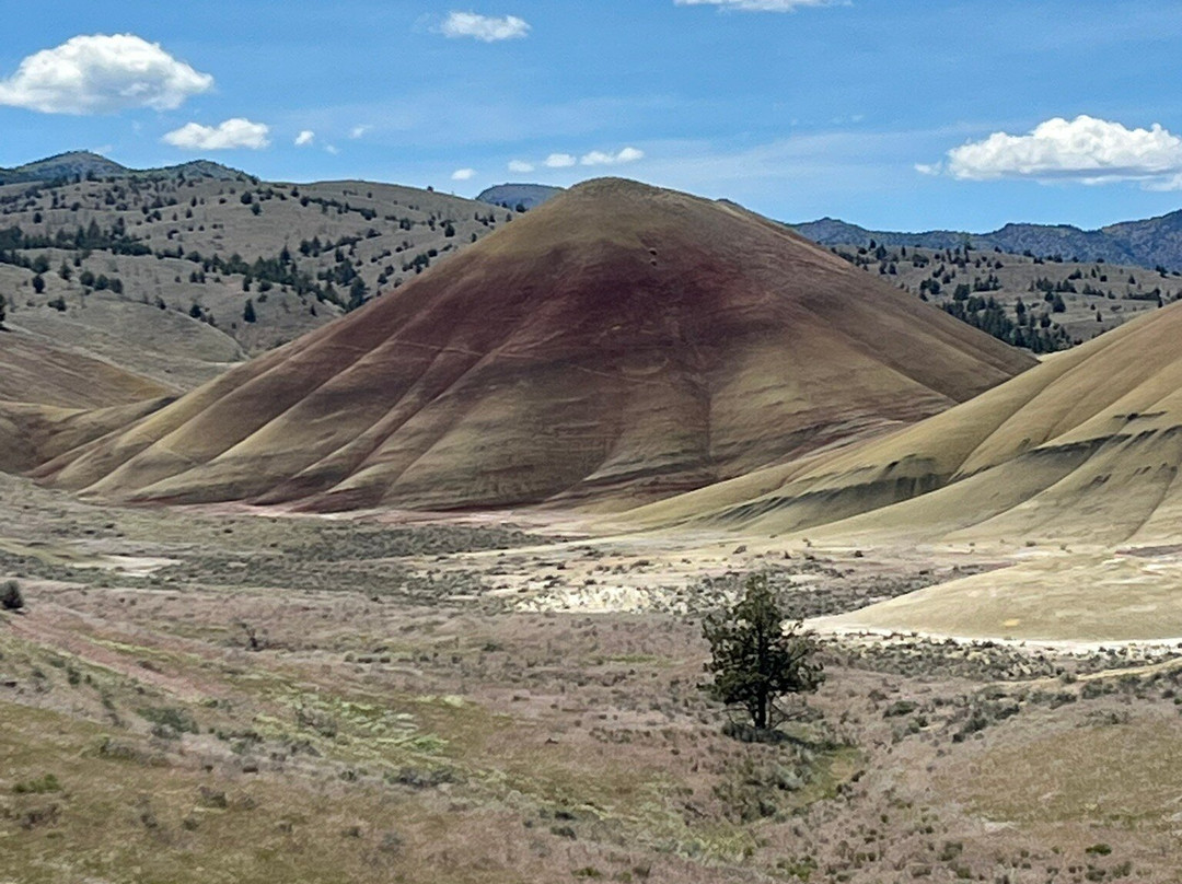 John Day Fossil Beds National Monument-John Day必去景点