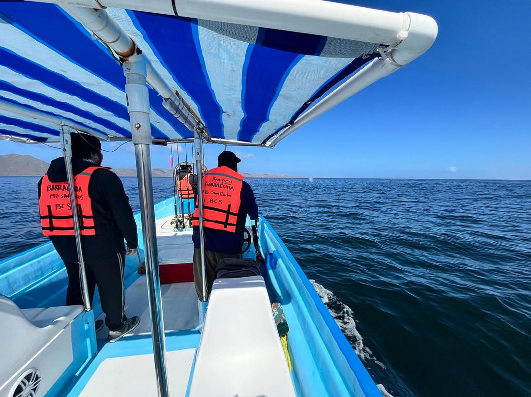 Sunrise Adventure In Magbay-Puerto San Carlos必去景点