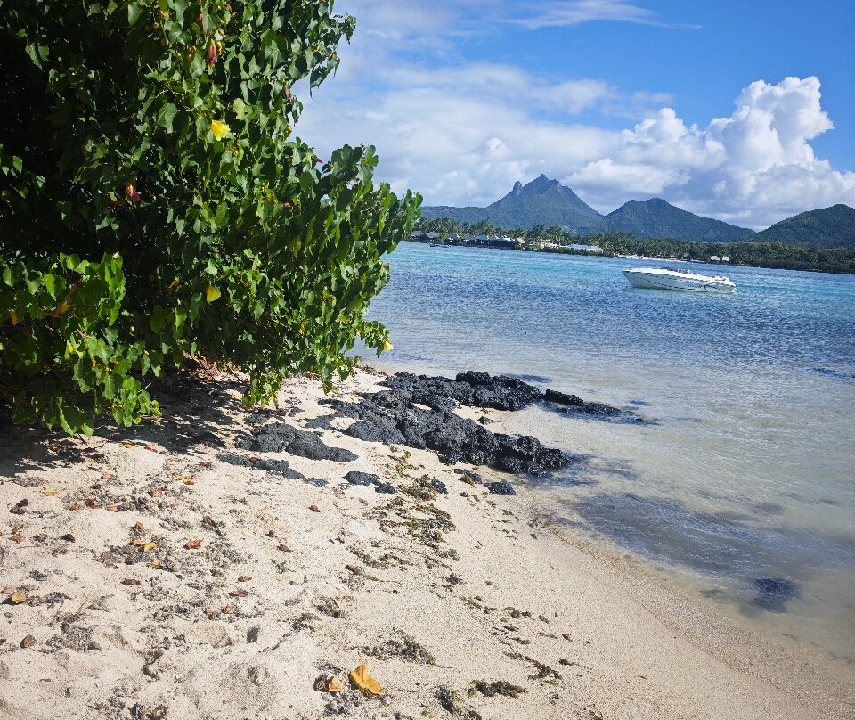 Calypso boat tours Mauritius-蓝湾必去景点