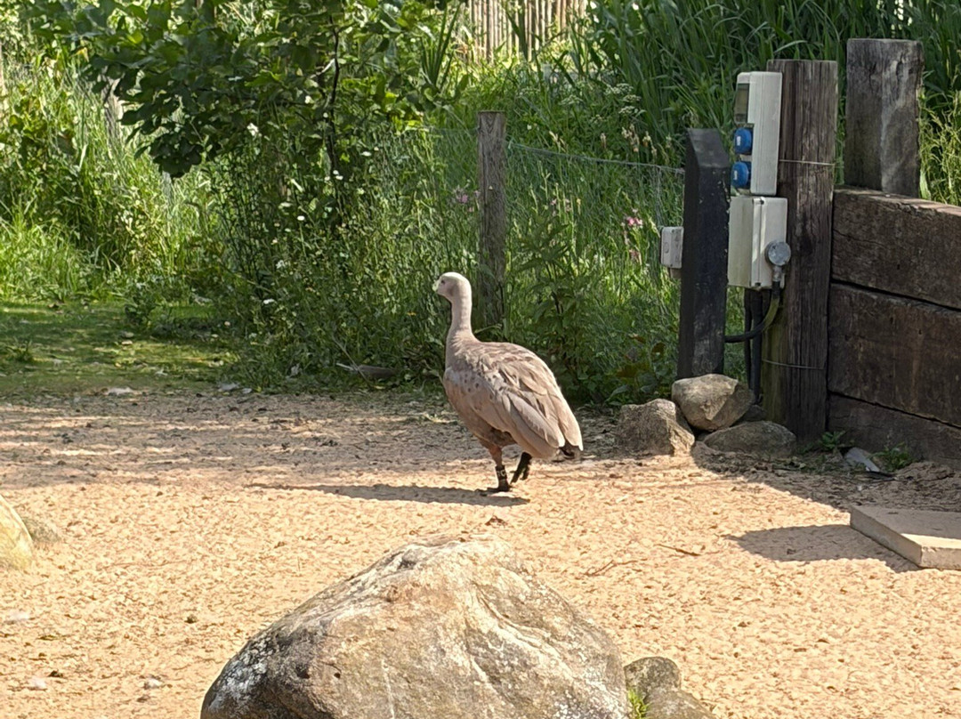 WWT Martin Mere Wetland Centre-Burscough必去景点