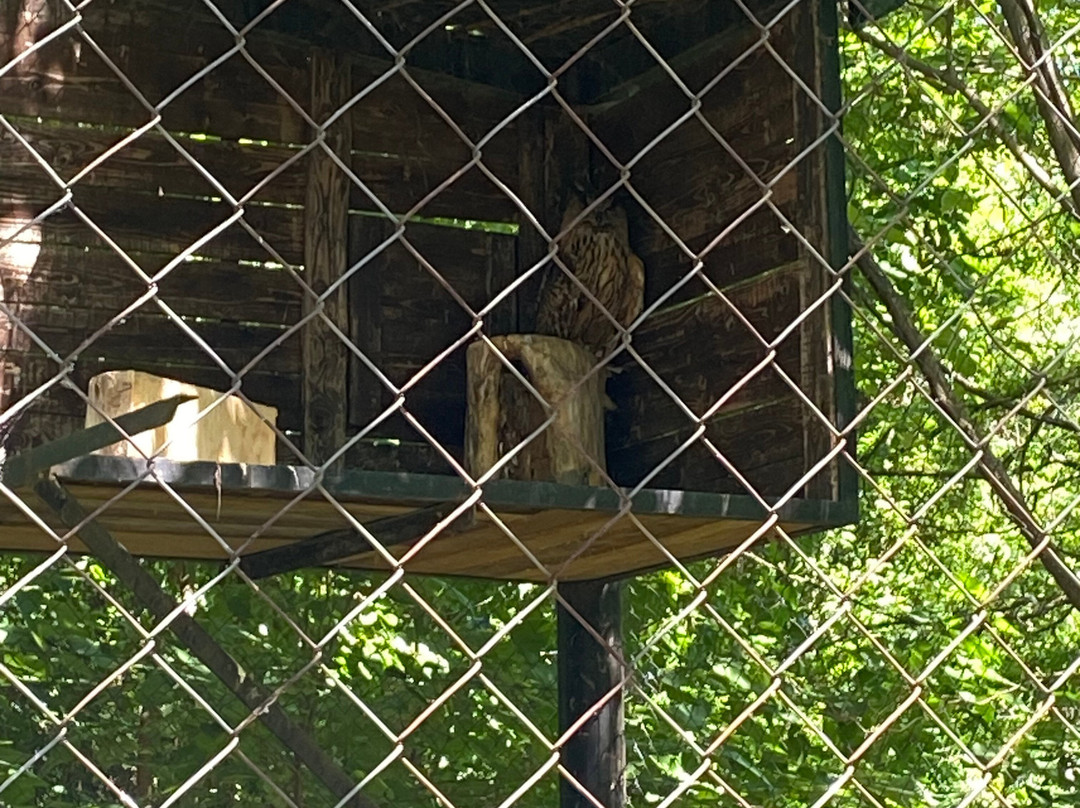 Skopje ZOO-斯科普里必去景点