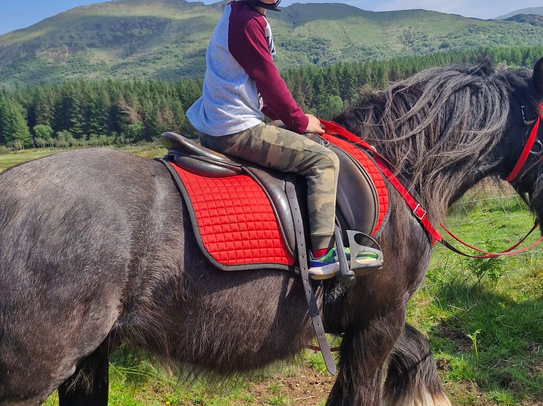 Mull Pony Trekking-马尔岛必去景点