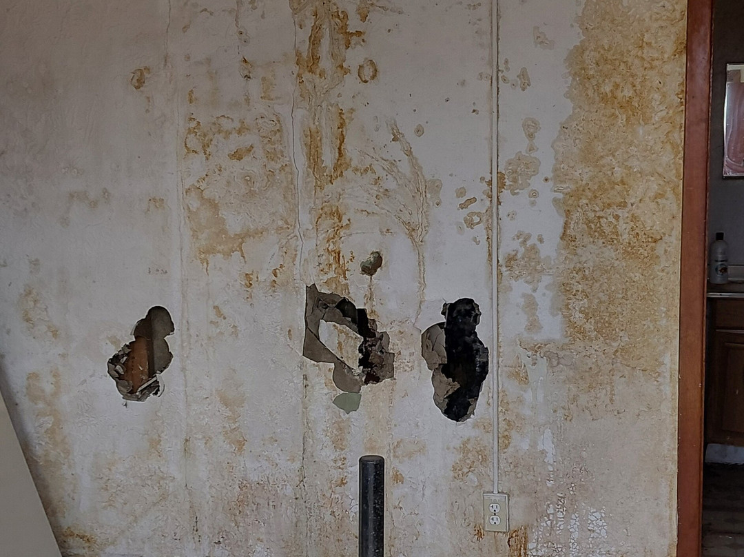 嘉年华汽车旅馆主图