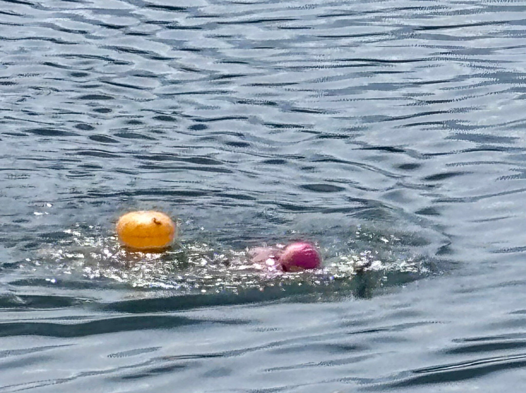 Leybourne Lakes Watersports Centre-Larkfield必去景点