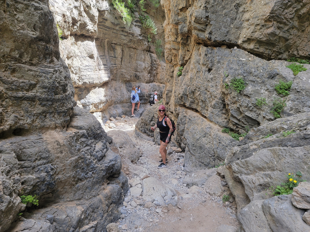 Imbros Gorge-Hora Sfakion必去景点