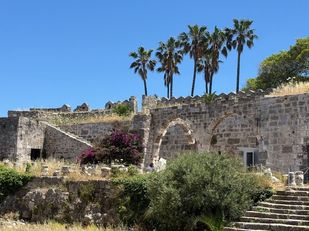 Kos Town Castle-Kos Town必去景点