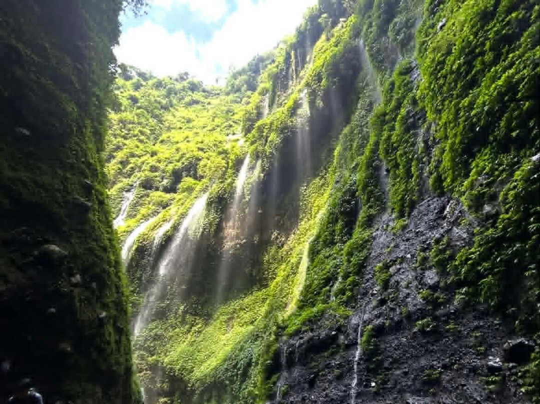 Ijen Bridge Tour-巴纽旺宣必去景点