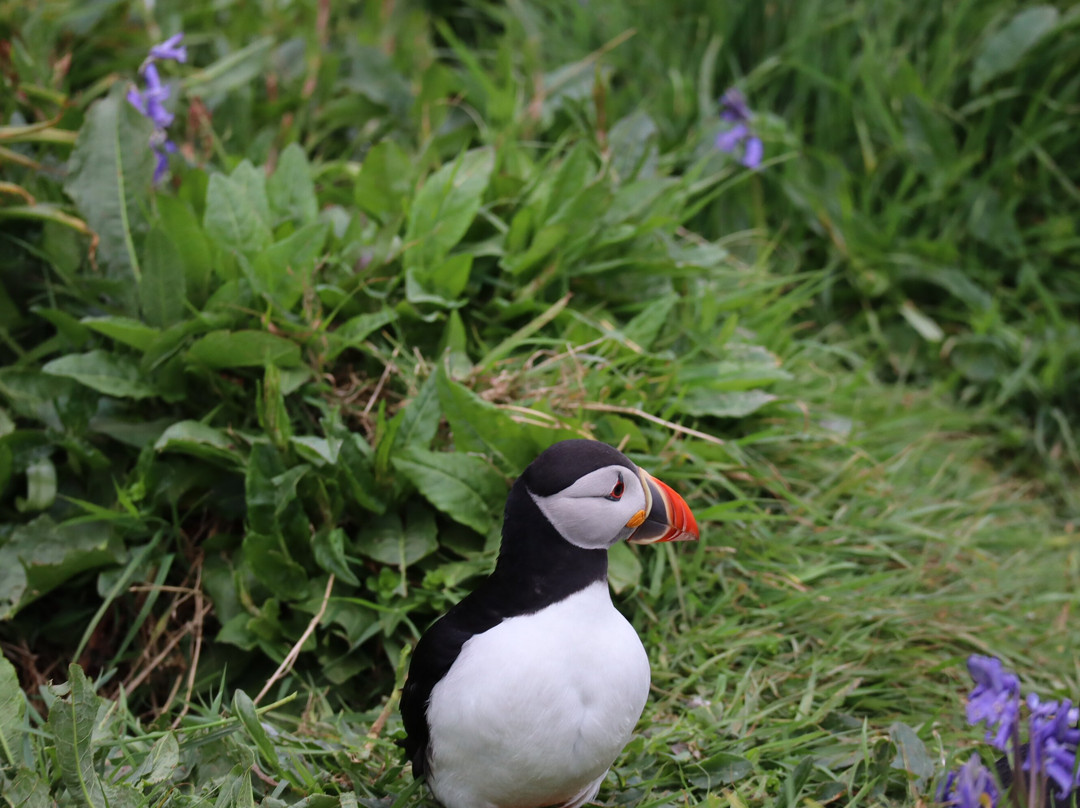 Isle of Lunga-The Hebrides必去景点