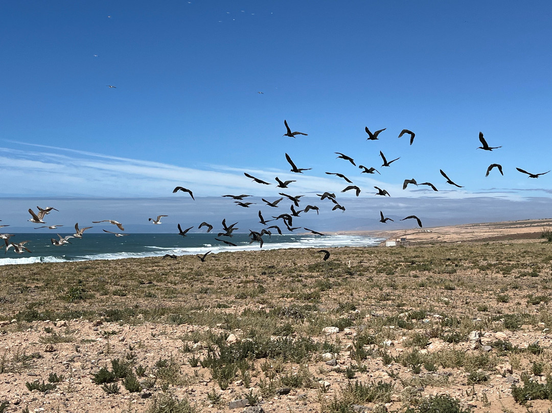 Parc Nacional de Souss-Massa-Takate必去景点