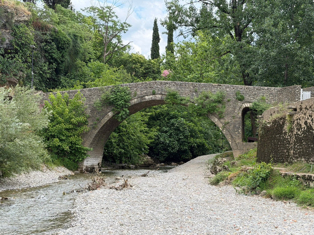 Ribnica Bridge (Most na Ribnici)-波德戈里察必去景点