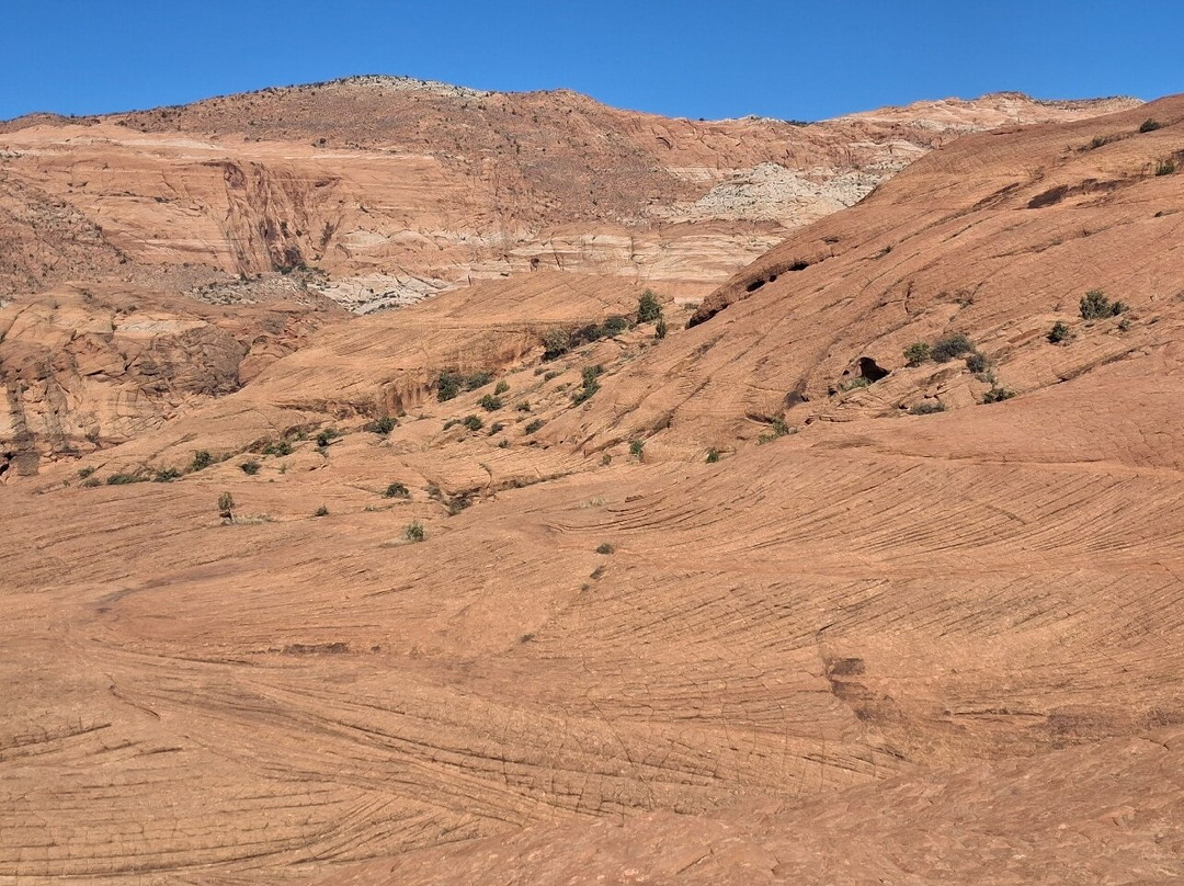 Snow Canyon State Park-犹他州必去景点