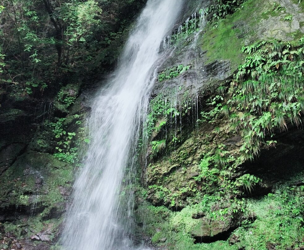 Biwa Waterfall-三好市必去景点