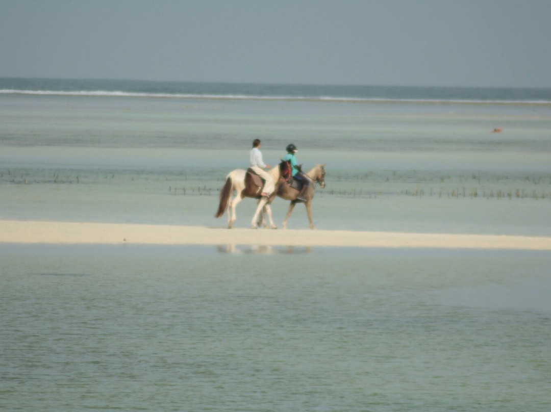 Pwani Mchangani Beach-Pwani Mchangani必去景点