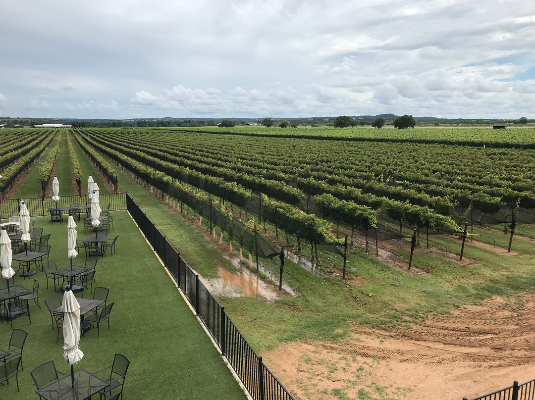 Augusta Vin Winery-弗雷德里克斯堡必去景点