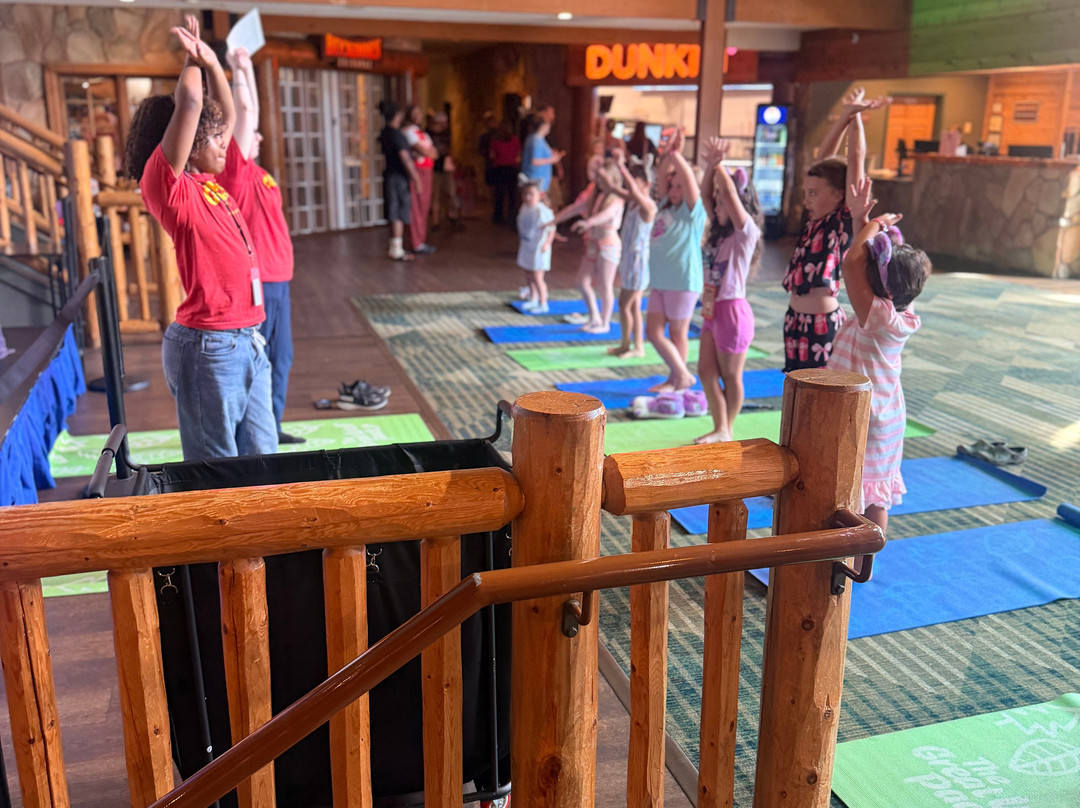 Great Wolf Lodge Williamsburg-威廉斯堡必去景点