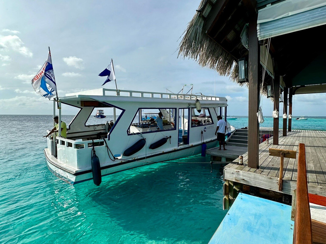 Diving Bluetribe Moofushi-南阿里环礁必去景点