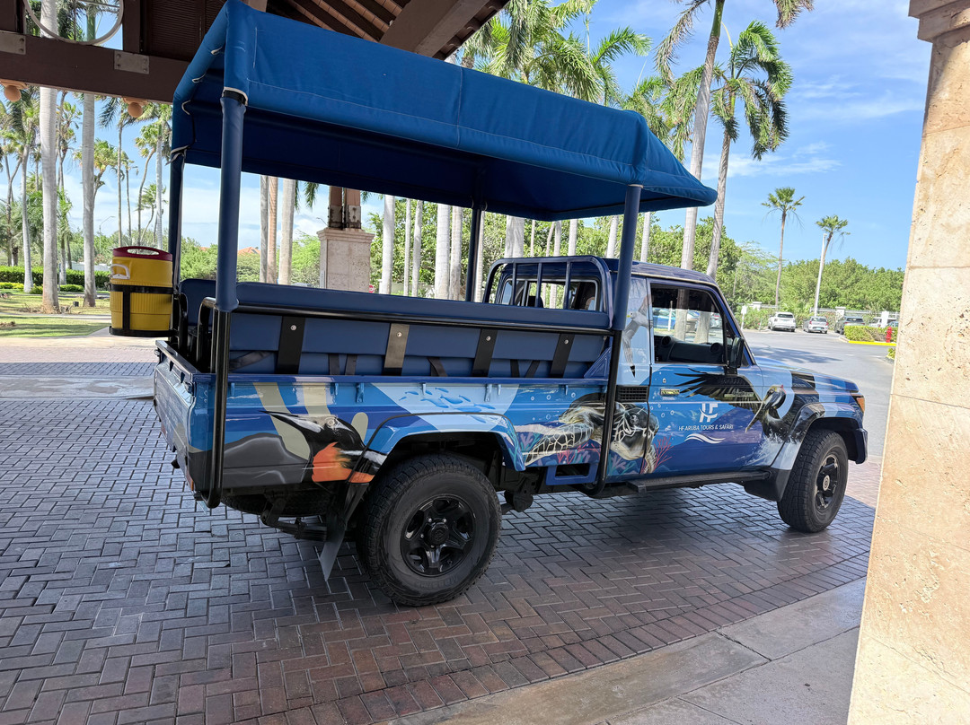 HF Tours & Transfers Aruba-奥腊涅斯塔德必去景点