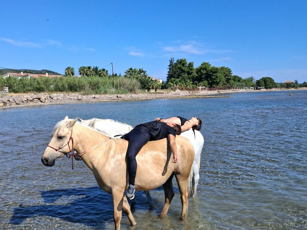 Darko World | Horse Riding Greece - Sea & Farm Experience-Livanates必去景点