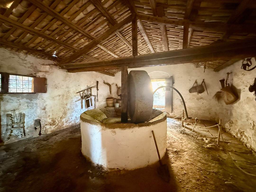 Grotta Mangiapane-Custonaci必去景点