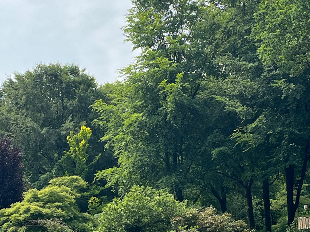 Enemaerkets Hostahave-灵克宾必去景点