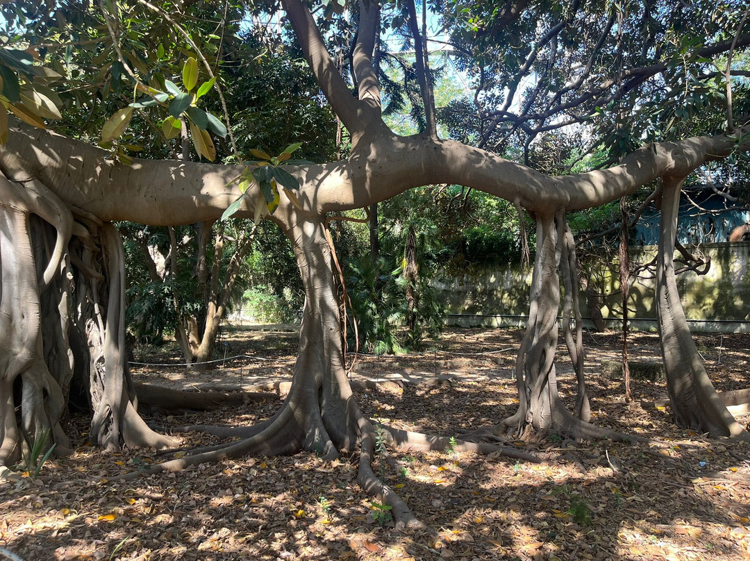 Giardino Garibaldi-巴勒莫必去景点