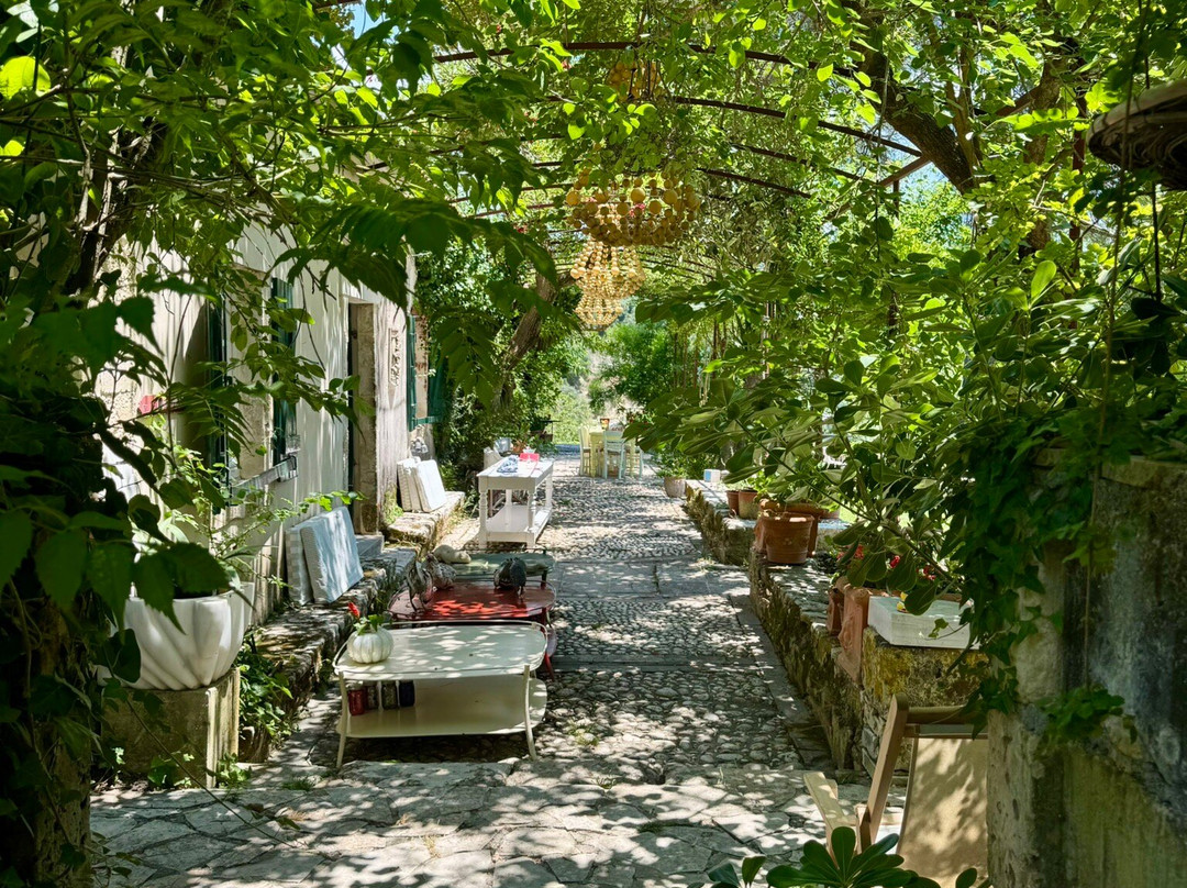 Haritatos Vineyard-Lixouri必去景点