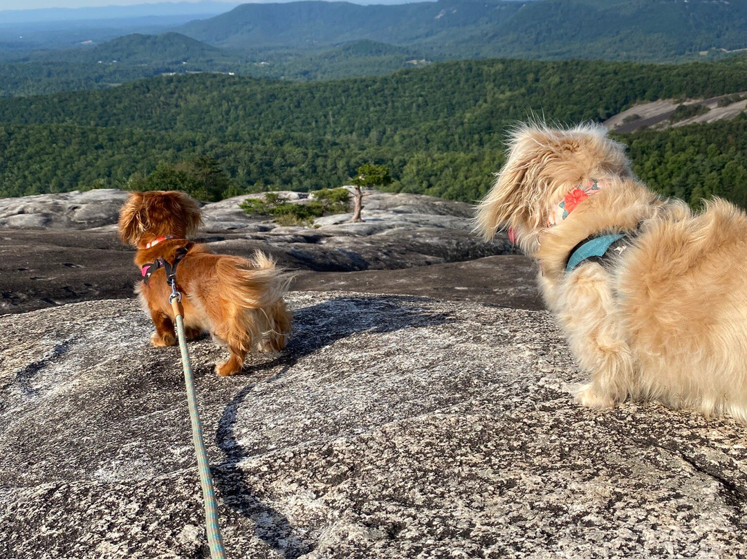 Stone Mountain State Park-Roaring Gap必去景点