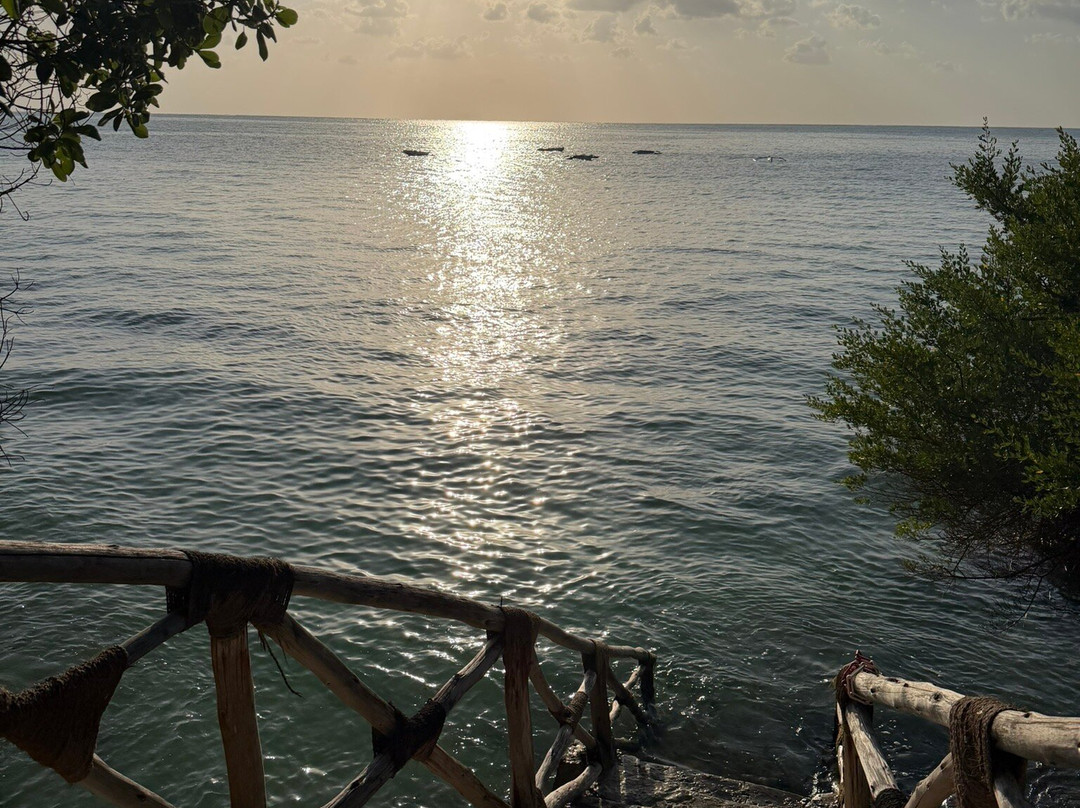The Island - Pongwe Lodge主图