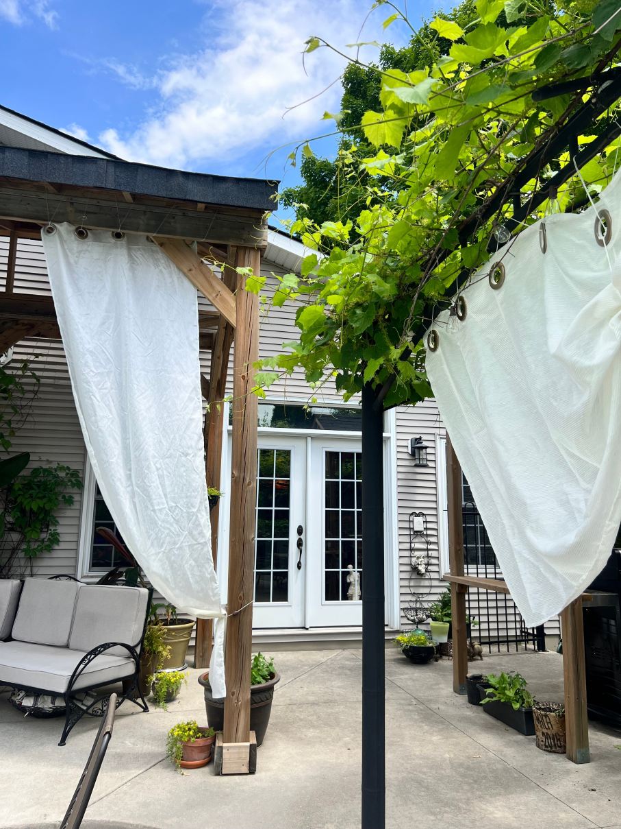 Starlings & Roses Bed & Breakfast-泳池