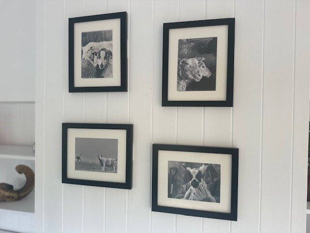 Portpatrick Farm Holidays