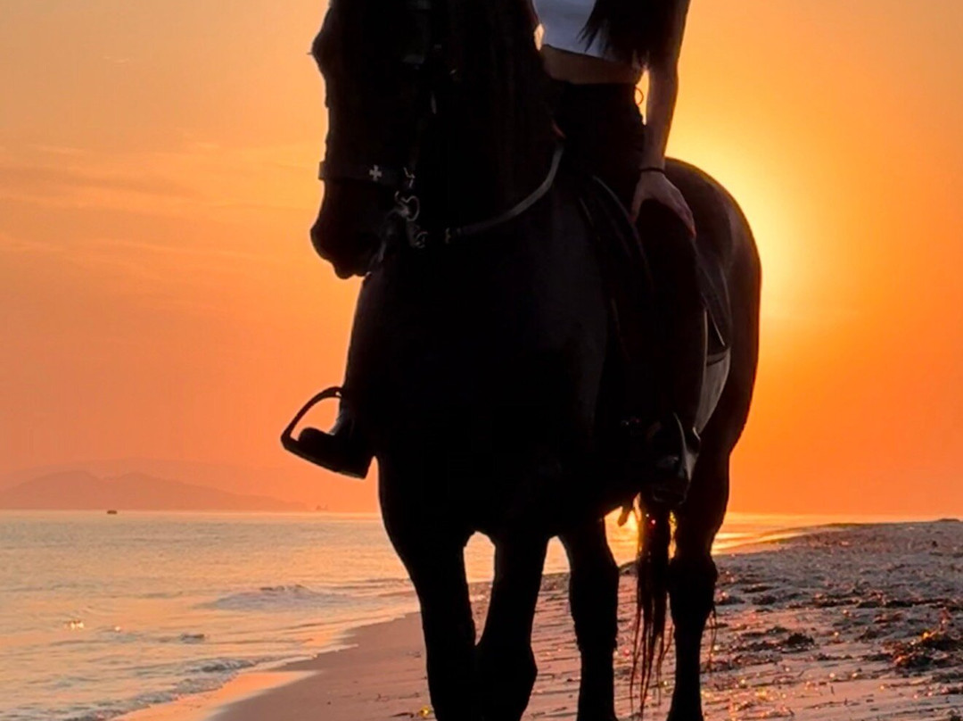 Erika's Horse Farm Kos-Marmari必去景点