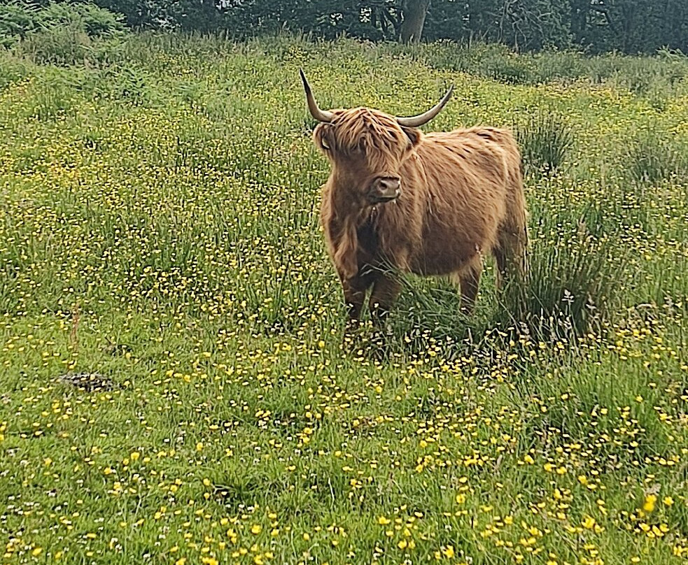 Nether Glenny Farm - Coos and Views-斯特灵必去景点