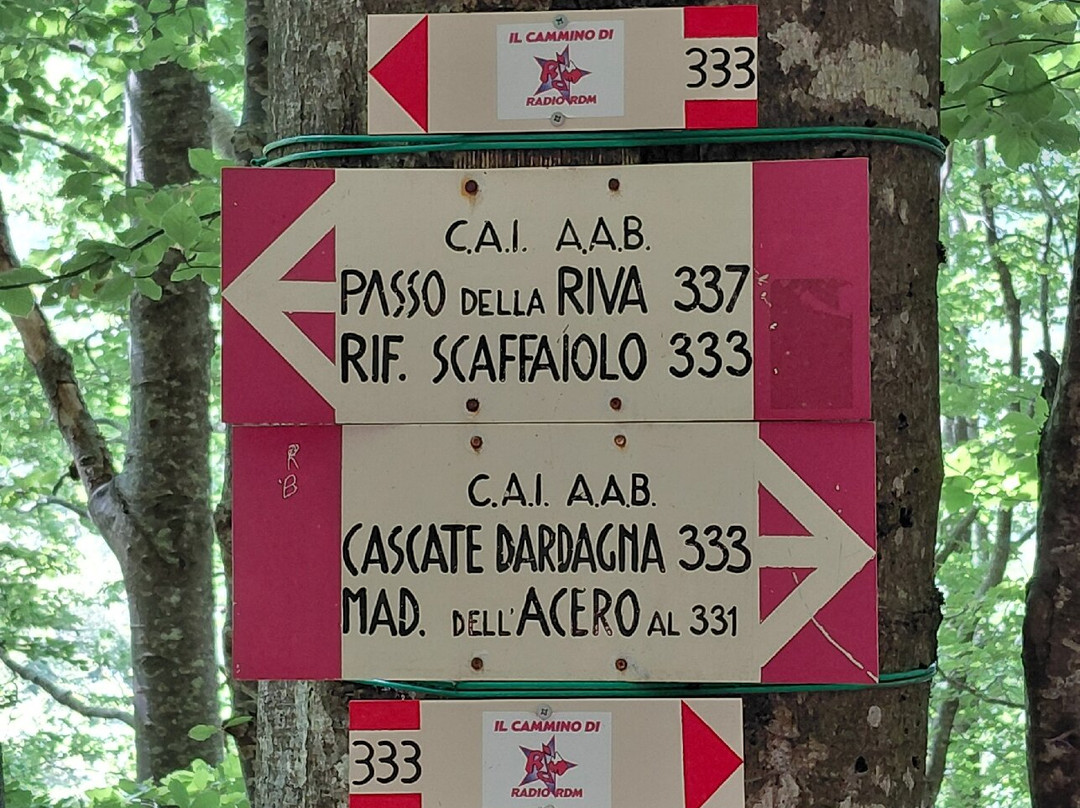 Cascate del Dardagna-Lizzano in Belvedere必去景点