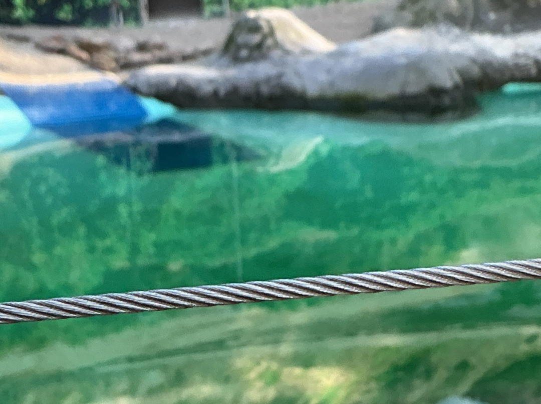 Ballarat Wildlife Park-巴拉瑞特必去景点