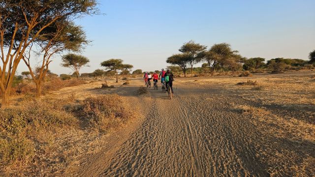 Maasailand Milele Tembo Lodge-旅行者