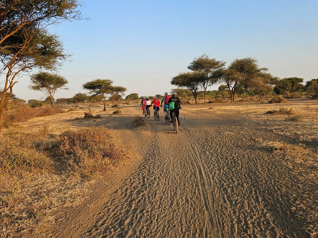 Maasailand Milele Tembo Lodge主图
