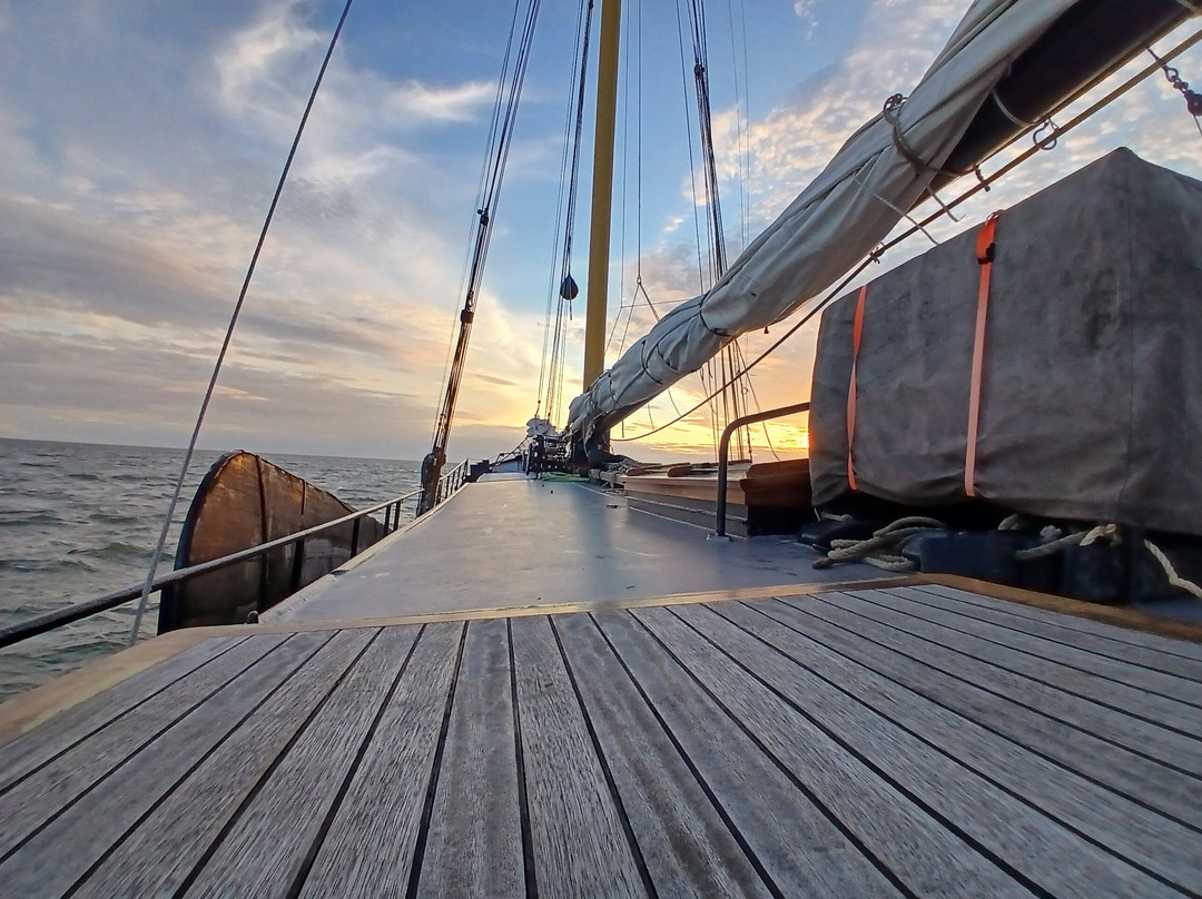 Historische Zeilvaart Harlingen-哈灵根必去景点