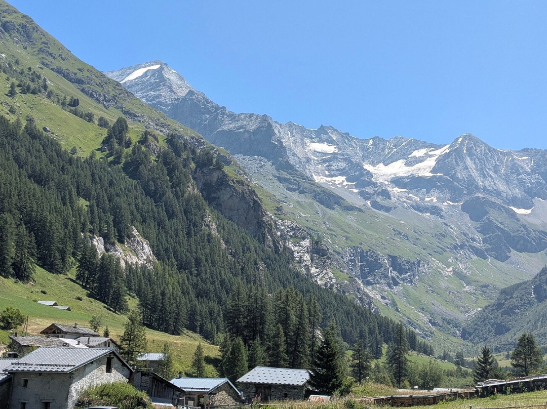 Chalet Hotel la Tarine主图