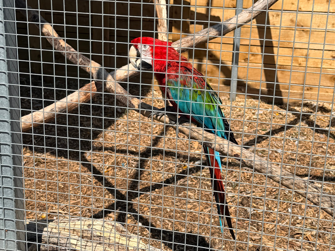 Lincolnshire Wildlife Park-Friskney必去景点