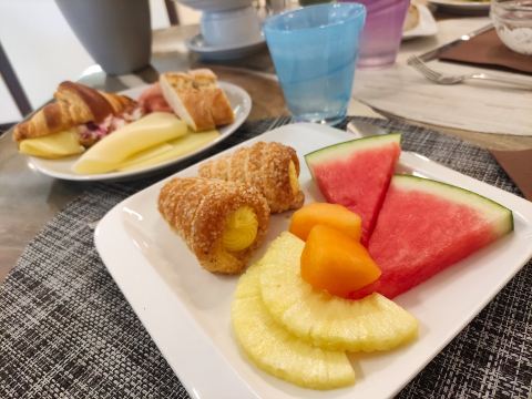 阿洛洛吉奥酒店-旅行者
