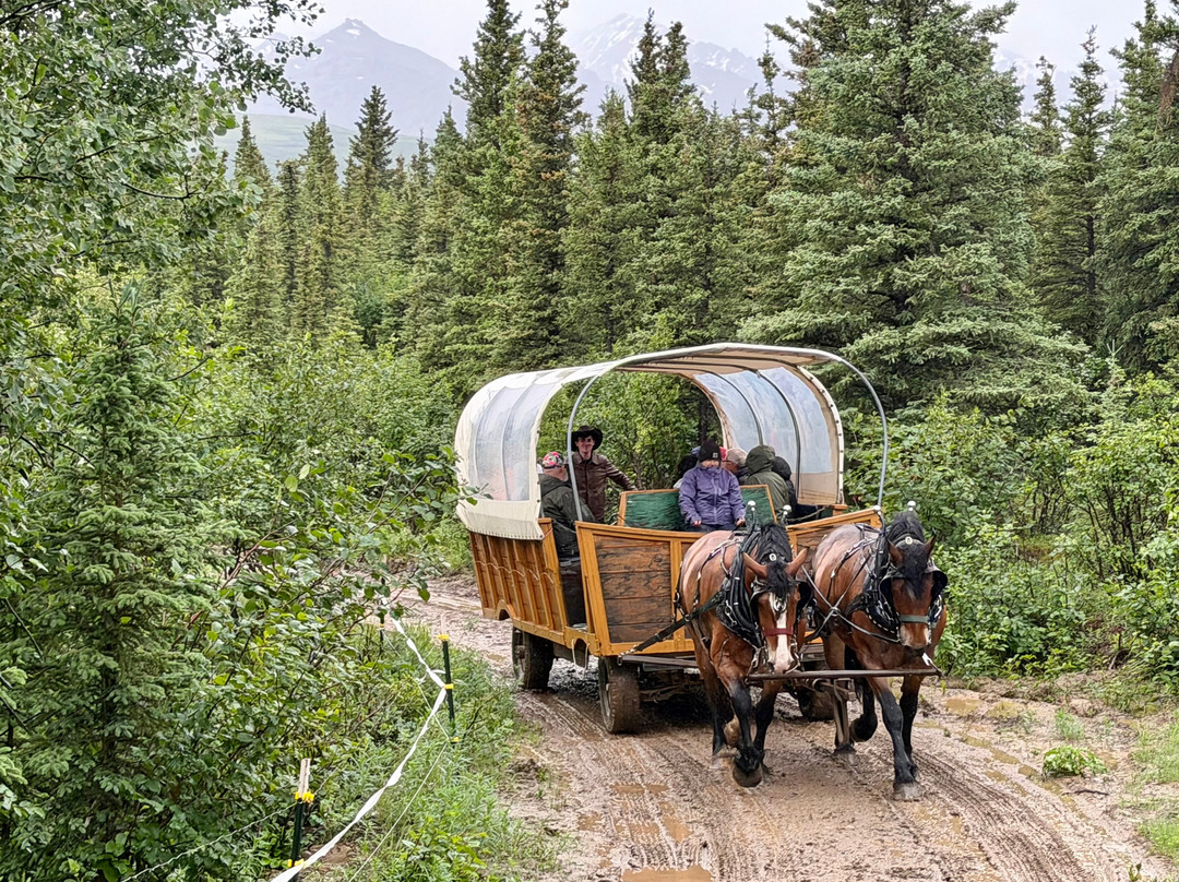 Denali Black Diamond Covered Wagon-Denali Park必去景点