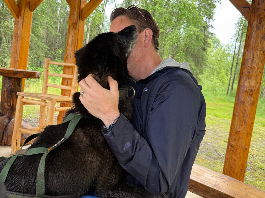 Alaskan Husky Adventures-Willow必去景点