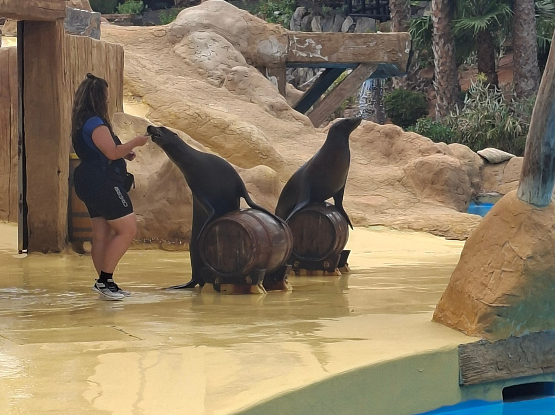 Rancho Texas Lanzarote Park-卡门港必去景点