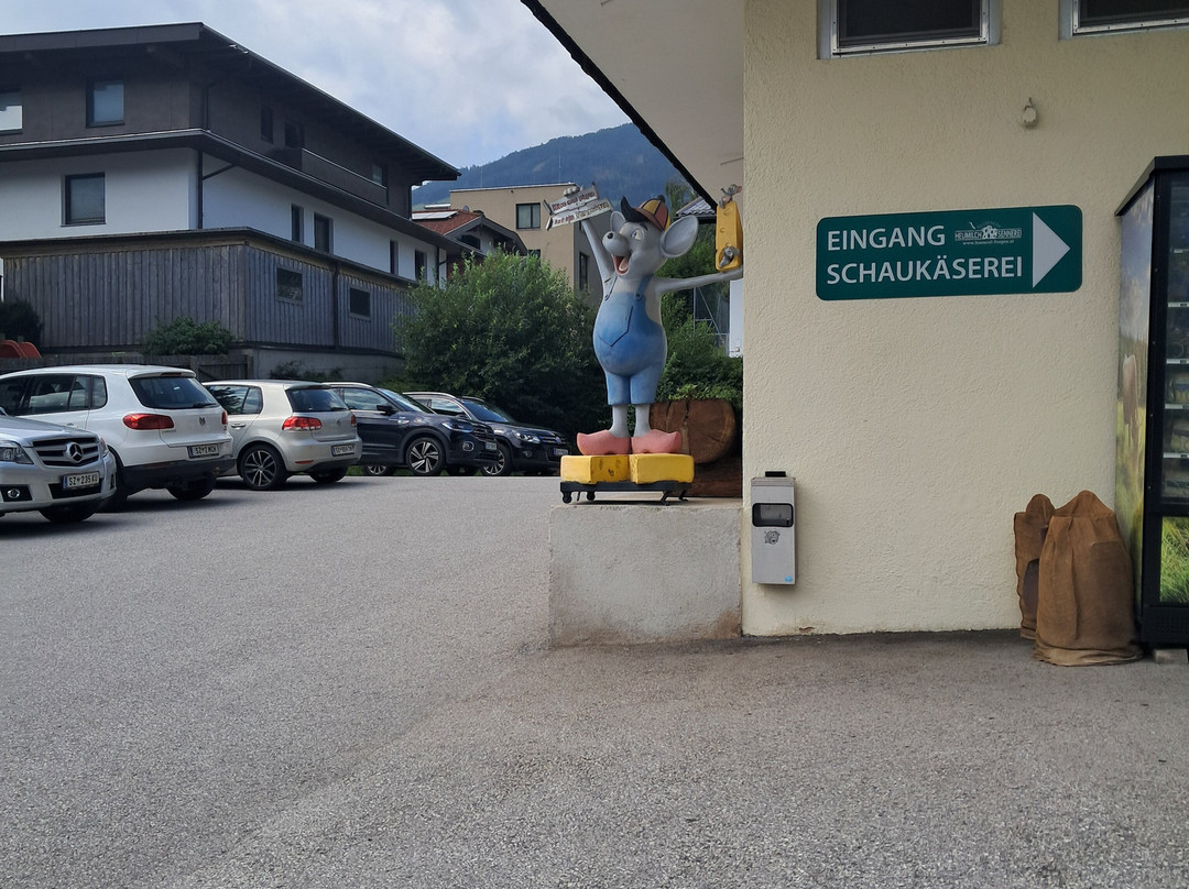 Zillertaler Heumilch Sennerei-富根必去景点