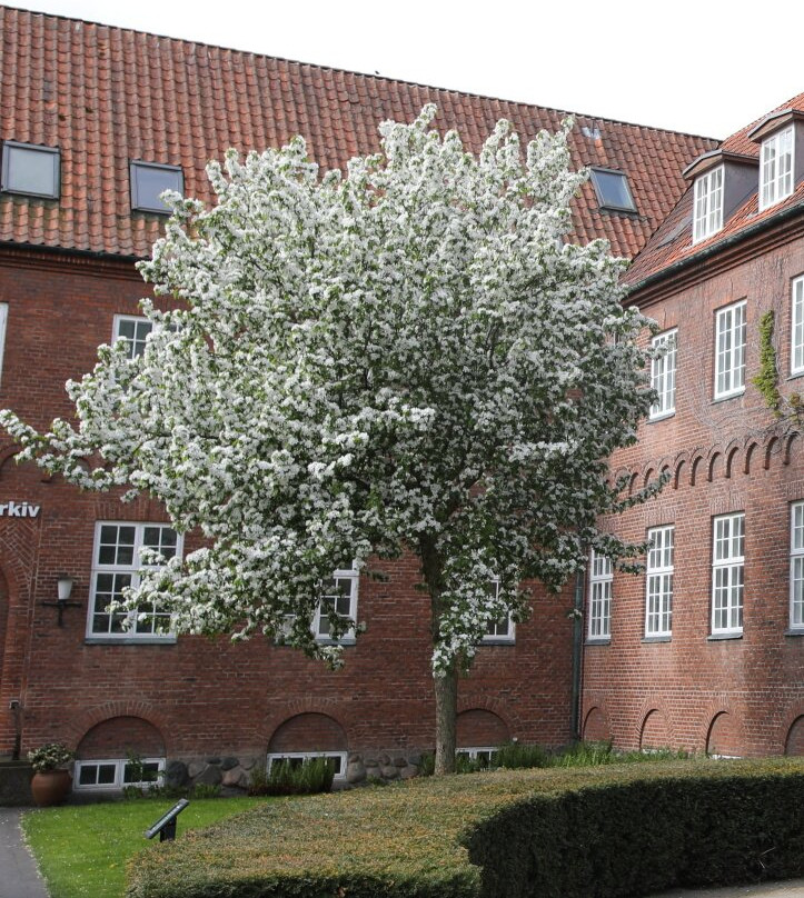 Aalborg Stadsarkiv-奥尔堡必去景点