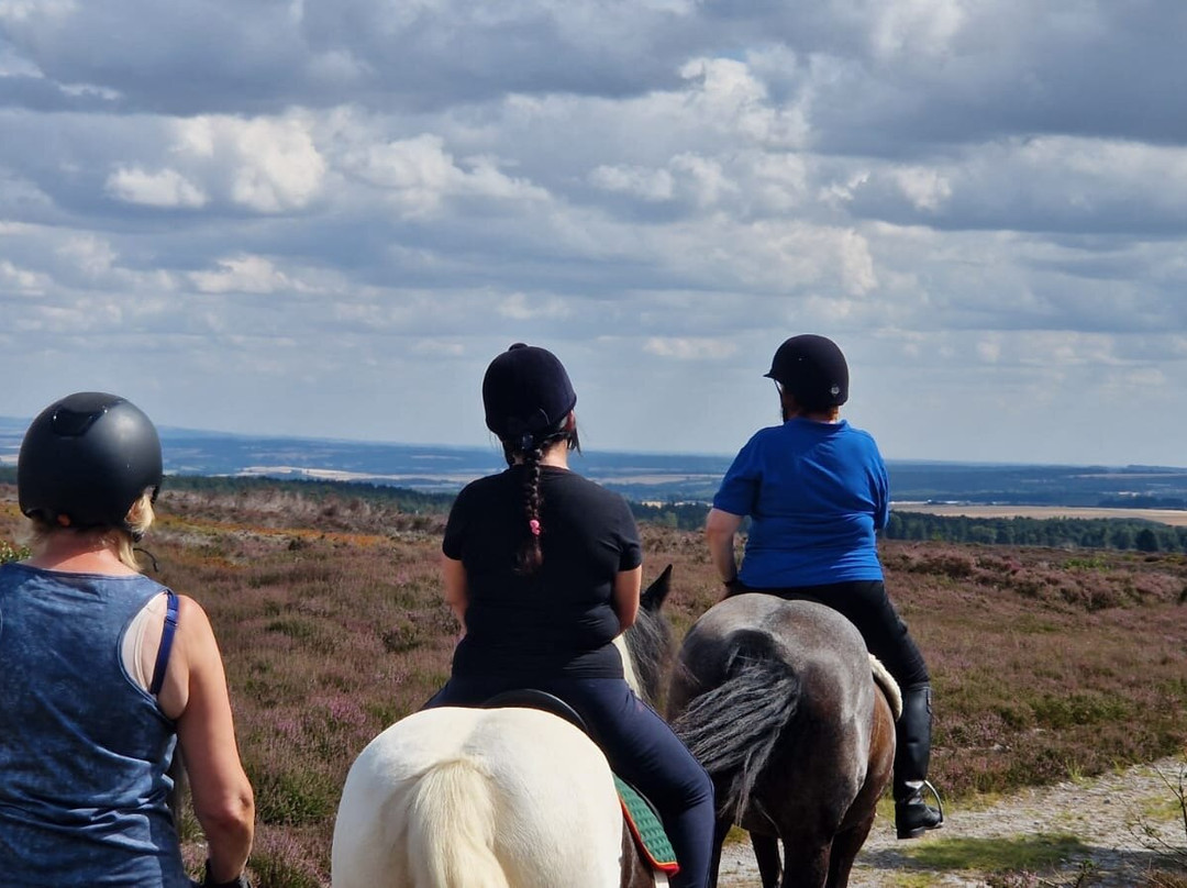 Bilsdale Riding Centre-Hawnby必去景点