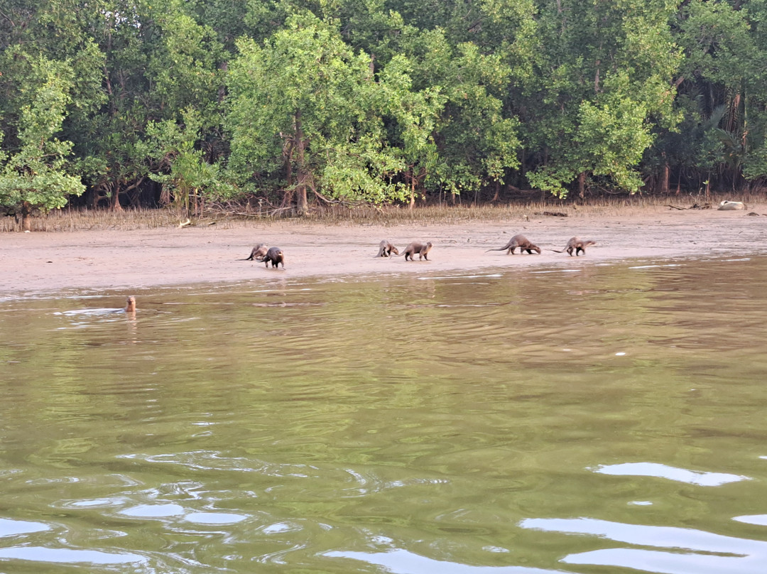 Kuantan River Cruise-关丹必去景点