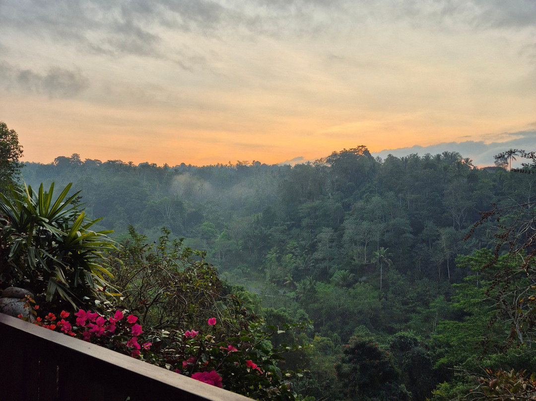 The Kayon Jungle Resort  (Adult Only)主图